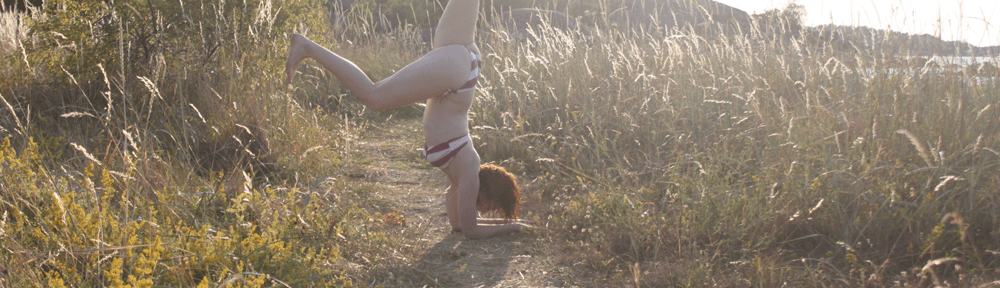 Global Yoga – kurser&nbsp;2015