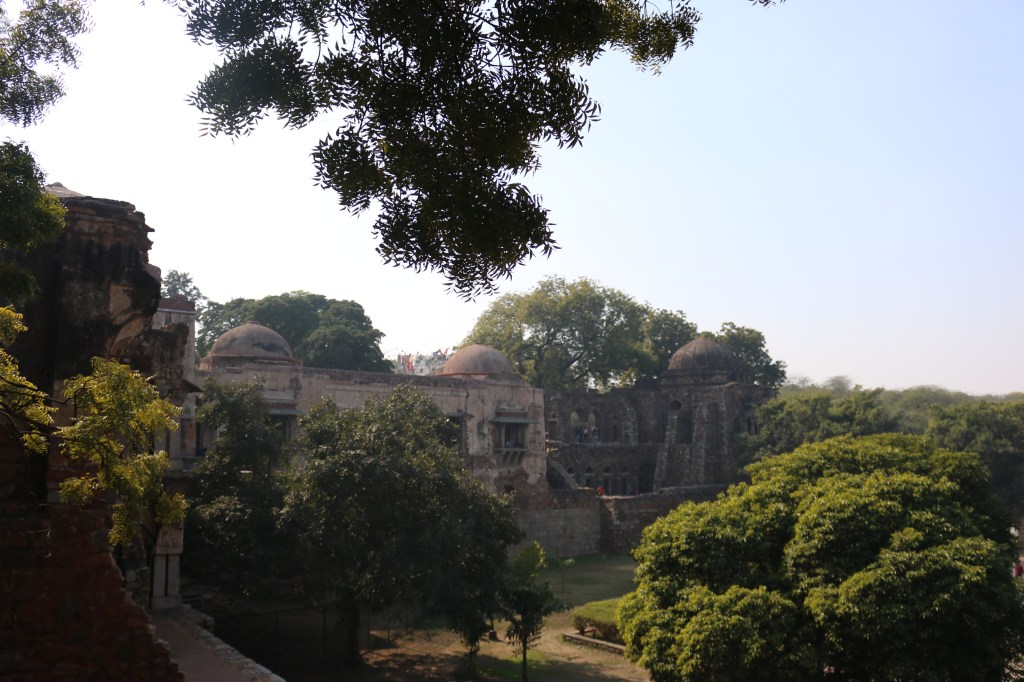 En grön oas i Delhi: Hauz Khas Village