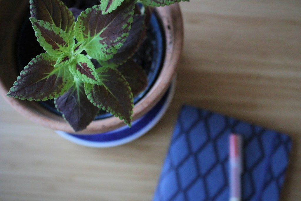 Översättningskritik för Gota Media vår/sommar&nbsp;2023