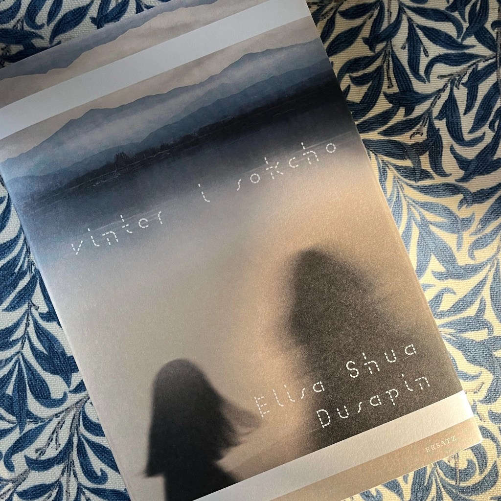 Vinter i Sokcho av Elisa Shua&nbsp;Dusapin