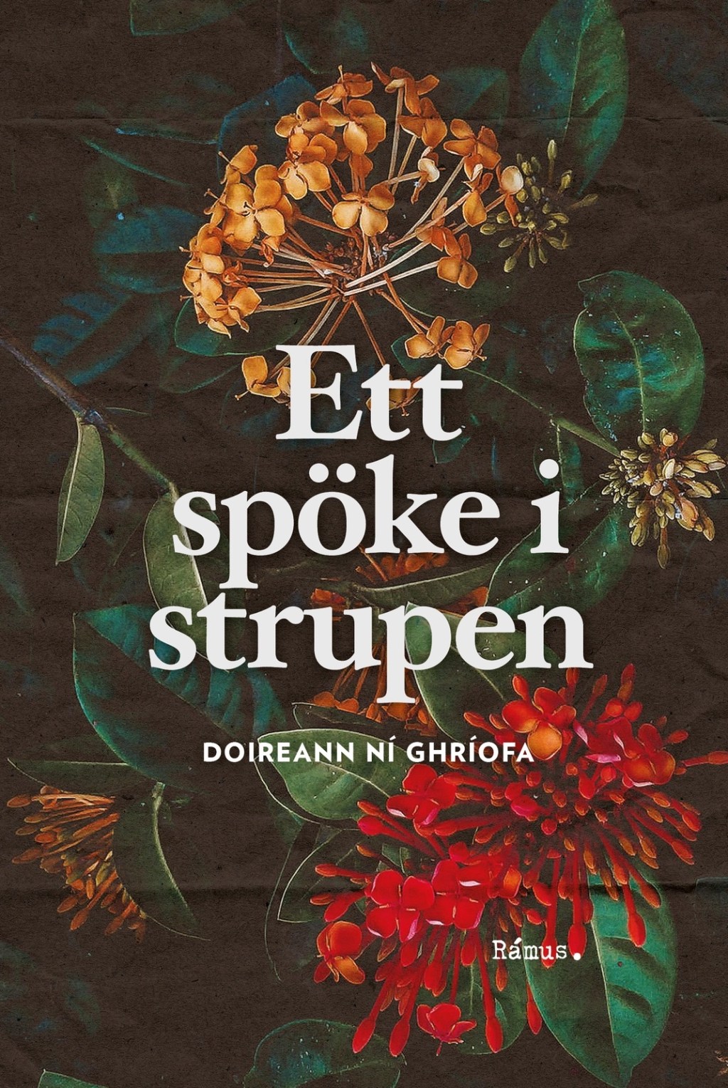 Krönika: Tveklöst den bästa roman jag läst i&nbsp;år