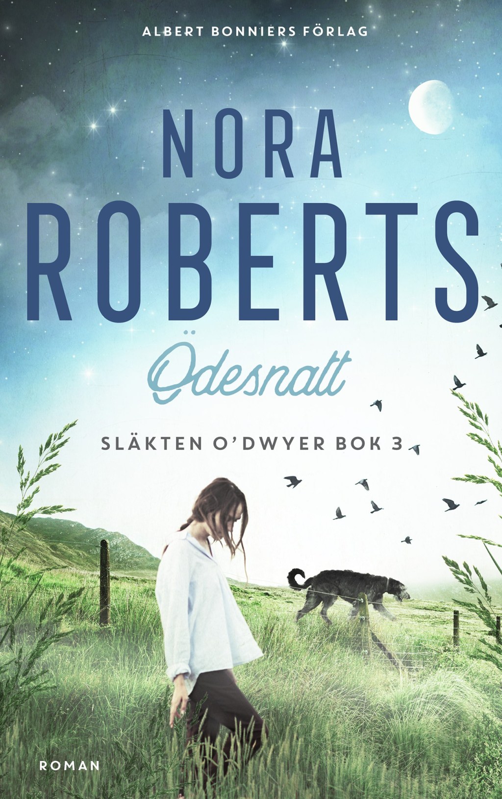 Ödesnatt av Nora&nbsp;Roberts