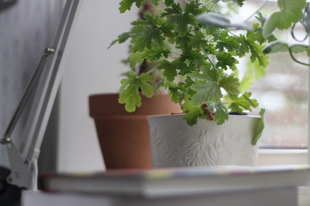 Krönika: De bästa författarna är alltid först och främst&nbsp;läsare